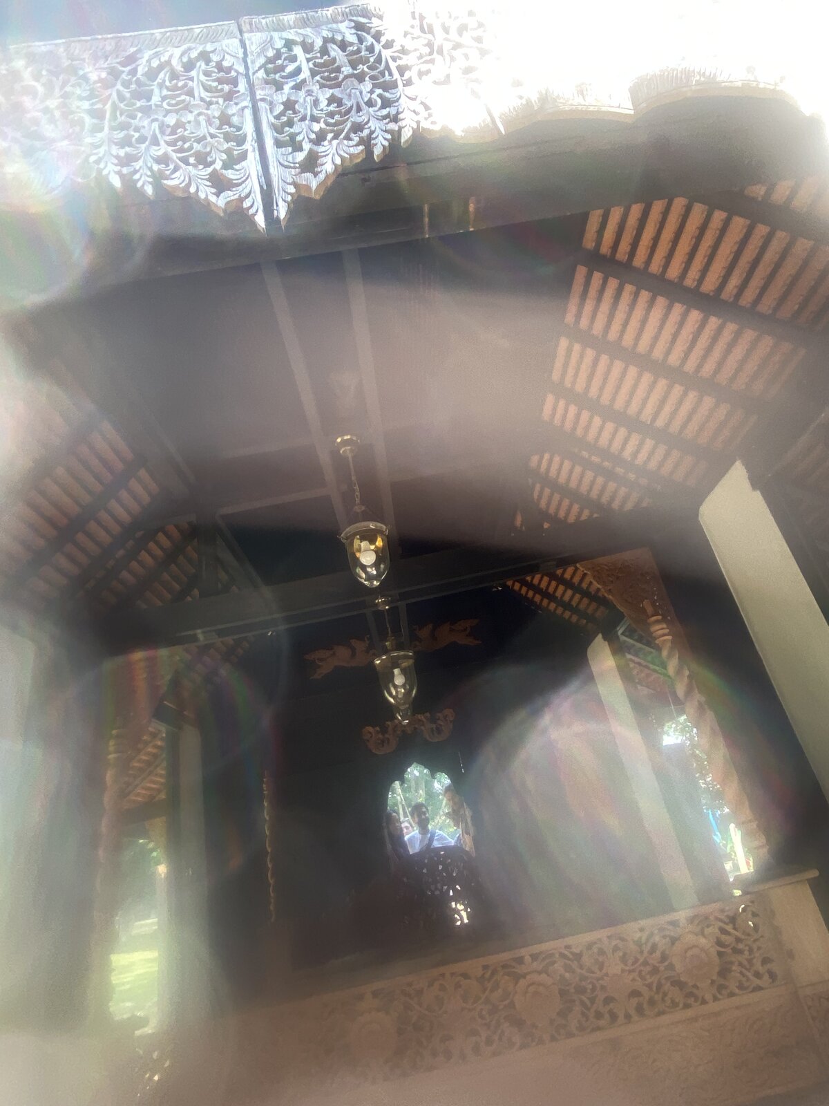 Photograph 83 by Rachel Clifton